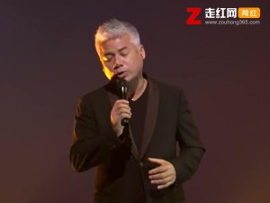 ​只是为何当初纷纷扰扰是什么歌，太傻歌曲介绍