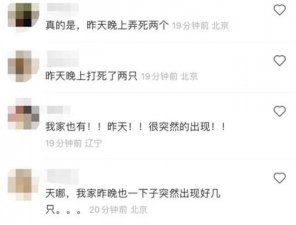 ​京津冀现不明黑色昆虫！哪来的？有害吗？