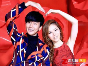 ​就算没人心疼我的泪是什么歌，手心的蔷薇歌曲介绍