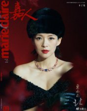 ​章子怡曾婉拒出演《教父》导演新片：角色不合适