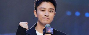 ​贾乃亮个人资料简介 和李小璐复婚真的吗