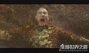 ​世界上最凶残的食人蚁真的存在吗，并没有那么恐怖