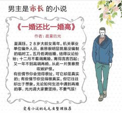 ​高干文推荐 现代言情男主是市长的小说