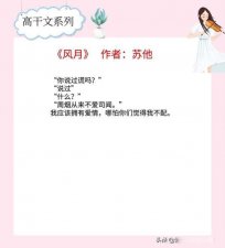 ​高干小说推荐文笔好高质量 男主是市长或高官的