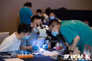 ​蛋壳刻字、缝合鸡翅血管……这场大赛尽显外科医生“真功夫”