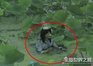 ​水猴子拉人下水视频，真实的水猴子图片看着好恐怖(其实是谣传)