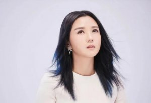 ​何洁个人简介（五年两婚三胎的何洁）