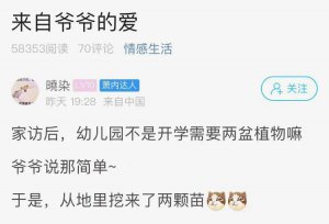 ​幼儿园开学要带两盆植物，爷爷的操作亮了！网友：是个实在人