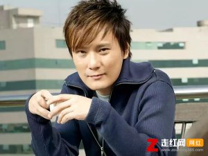 ​我从来不敢给你任何诺言是什么歌，别怕我伤心歌曲介绍