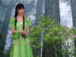 ​若不是你突然闯进我生活是什么歌，绿色歌曲介绍
