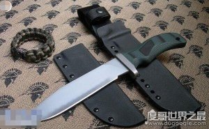 世界最著名的十大军刀，疯狗高级战术突击刀被称为战刀之王