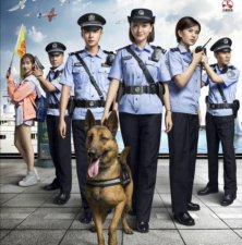 ​神犬奇兵电视剧（7部关于警犬神犬的电视剧）