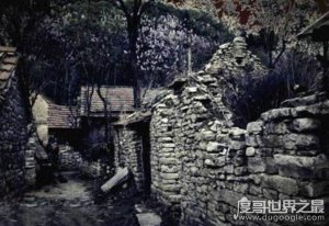 ​1987陕西夜狸猫事件回顾，真相至今无人知晓(疑是谣言)