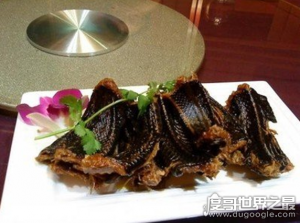 ​动物世界蛇的天敌大盘点，蛇獴只能算第二(第一竟是它)