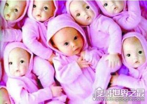 ​多胞胎世界纪录，意大利一孕妇生下15胞胎(堪称最牛妈妈)