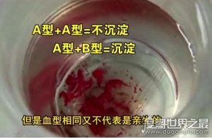​滴血认亲科学吗，没有科学依据且并不准确