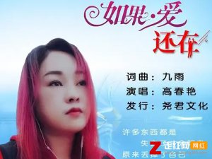 ​如果爱还在你心中没有离开是什么歌，如果爱还在歌曲介绍