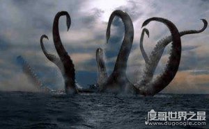 ​比蓝鲸大100倍的生物，北海巨妖-克拉肯(疑似超巨型乌贼)