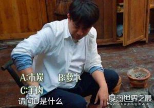 ​《向往的生活》abcd游戏玩法，只要答案加上“d是”都算对