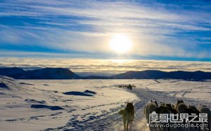 ​世界上最大的岛屿排名，格陵兰岛位列第一（216万平方千米）