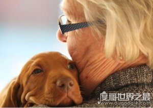 ​阳寿已尽的老人表现，别人眼睛里看不到自己影子(13种表现)