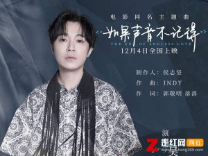 ​一天一天一年又一年每个转身恍如初见是什么歌，如果声音不记得歌曲介绍