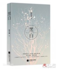 ​现代言情小说甜宠文有肉推荐几部 有肉更有爱
