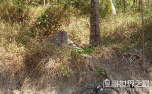 ​秦桧墓跪的5个人是谁，岳飞墓前奸臣秦桧夫妇跪像
