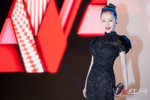 ​徐海星中国好声音事件是什么 为什么被黑