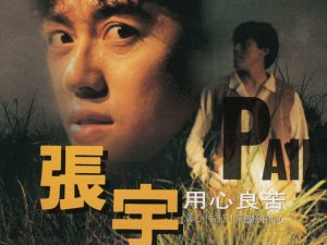 ​你的脸有几分憔悴是什么歌，用心良苦歌曲介绍