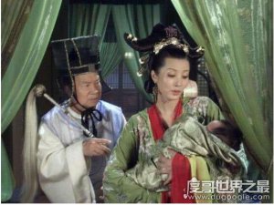 ​狸猫换太子是真的吗，其实真实历史就是所谓的借腹生子