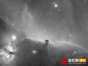 ​天黑之后才拥有光彩是什么歌，尘埃歌词分享