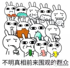 ​这瓜，骂太过了