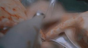 ​宋茜新剧又扑街了？活该！