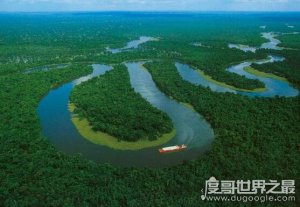 ​世界六大森林，亚马逊热带雨林乃是地球的绿色心肺