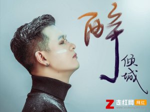 ​我沉沦几回因你倾城的美是什么歌，醉倾城歌曲介绍