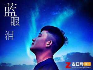 ​取一瓢深蓝色苦苦的湖水是什么歌，蓝眼泪歌曲介绍