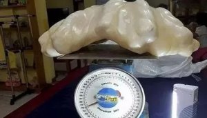 ​世界最大天然珍珠，重达六十多斤，不是球状（奇形怪状）