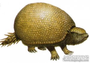 ​史前铁甲武士雕齿兽，现代犰狳的祖先(背壳直径达2米)