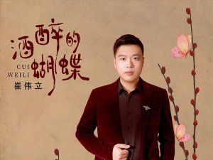 ​怎么也飞不出花花的世界是什么歌，酒醉的蝴蝶歌曲介绍