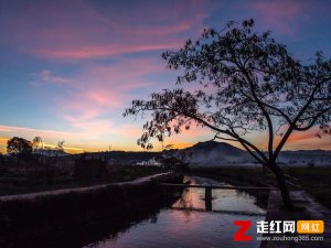 ​一别半生不过转转又兜兜是什么歌，归来是故乡歌曲介绍
