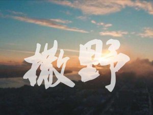​我想抬头暖阳春草你给我简单拥抱是什么歌，撒野歌曲介绍