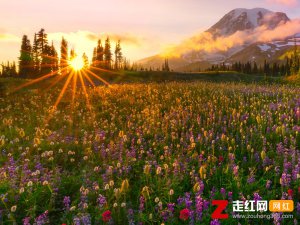 ​是你流的泪晕开不要你离开是什么歌，花海歌曲介绍
