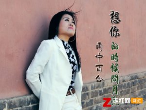 ​相思的泪水在不停流淌是什么歌，想你的时候问月亮歌曲介绍