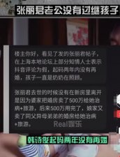 ​张丽君老公韩诗俊现状（张丽君老公两年内没再婚）