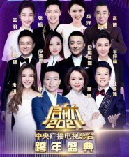 ​央视主持人名单大全（央视跨年晚会现12名顶级主持）