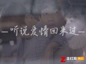 ​有一种想见不能见的伤痛是什么歌，听说爱情回来过歌曲介绍