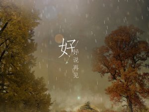​我爱过你笑的脸庞是什么歌，好好说再见歌曲介绍