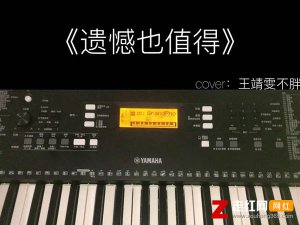 ​你在心里住着我不怕寂寞是什么歌，遗憾也值得歌曲介绍