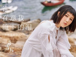 ​岁月匆匆像一阵风是什么歌，谁在意我流下的泪歌曲介绍